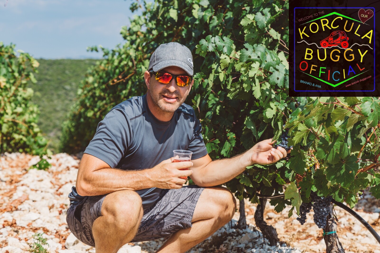 Founder Branko showing local Grk grapes in a vineyard during the Lumbarda buggy wine tasting tour in Korcula